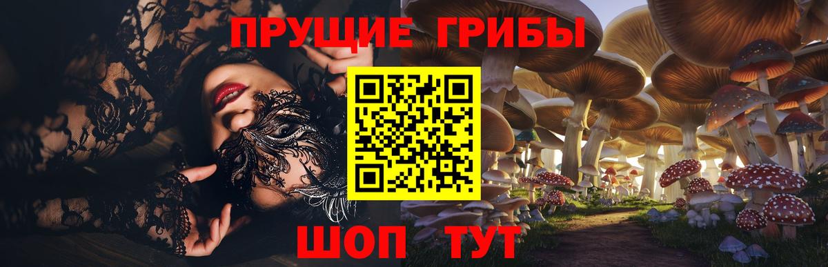 Псилоцибиновые грибы GOLDEN TEACHER Бугуруслан